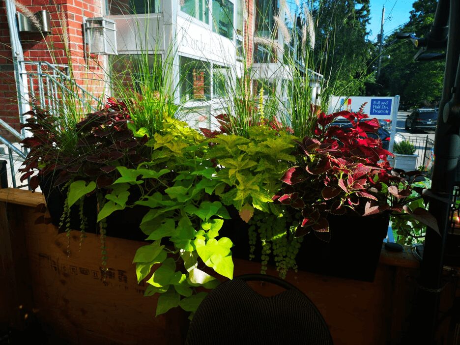 A window sill with plants and flowers in it.